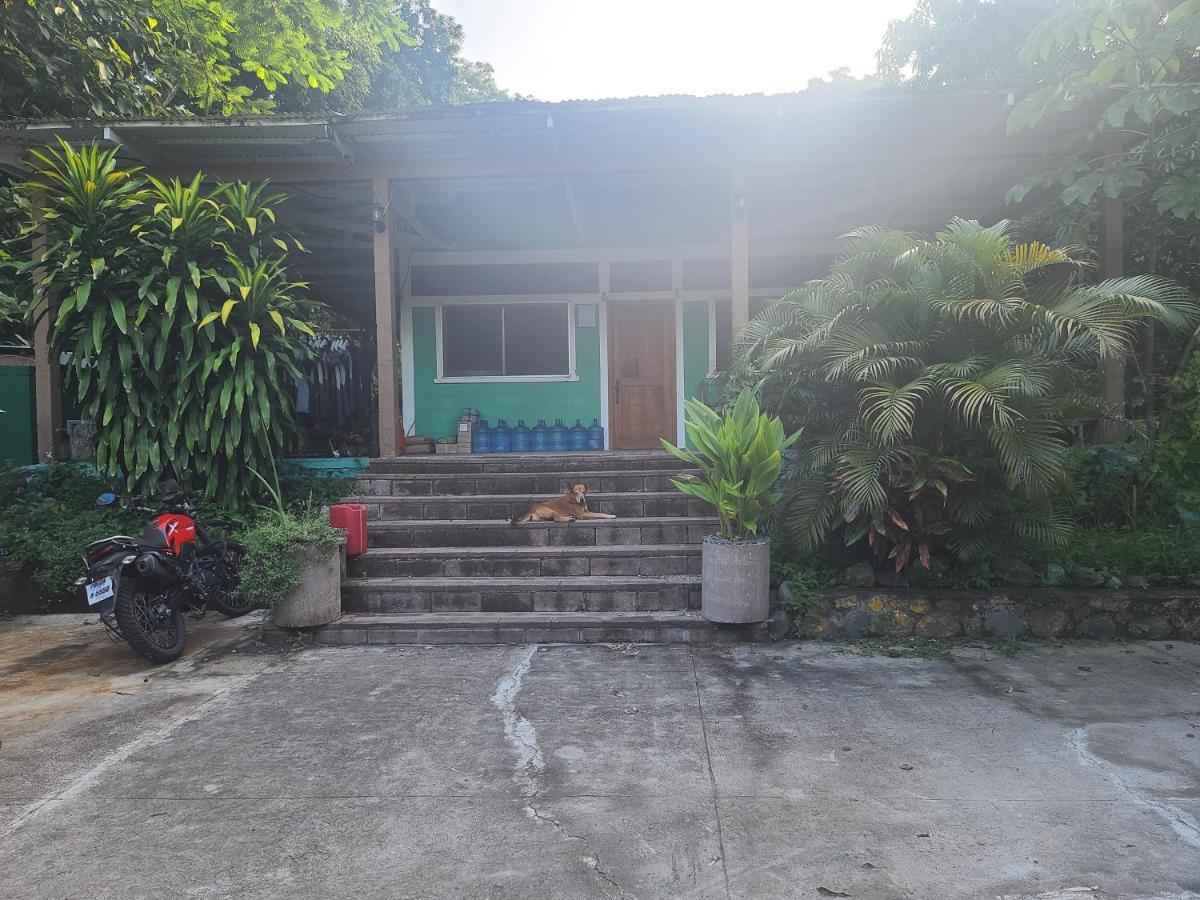 Hammock Plantation Hostel เอลซอนเต ภายนอก รูปภาพ